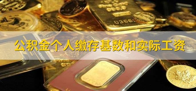 公积金个人缴存基数和实际工资