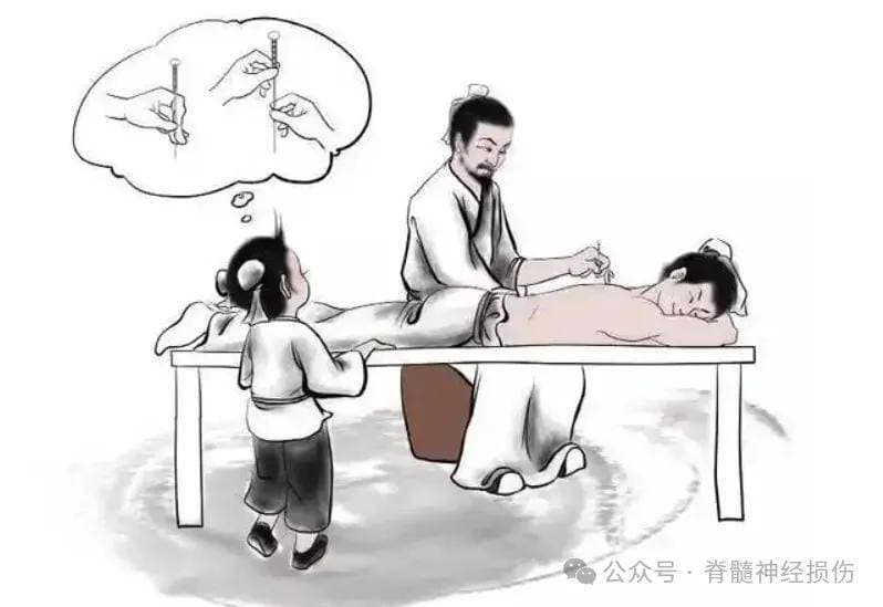 脊髓损伤水肿的消肿时长与应对之策