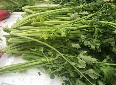 这5种蔬菜榨汁喝 好处可能超过你的想象