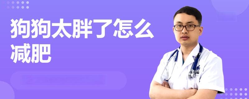 狗狗减肥这样做：饮食控制为主，辅以运动和药物