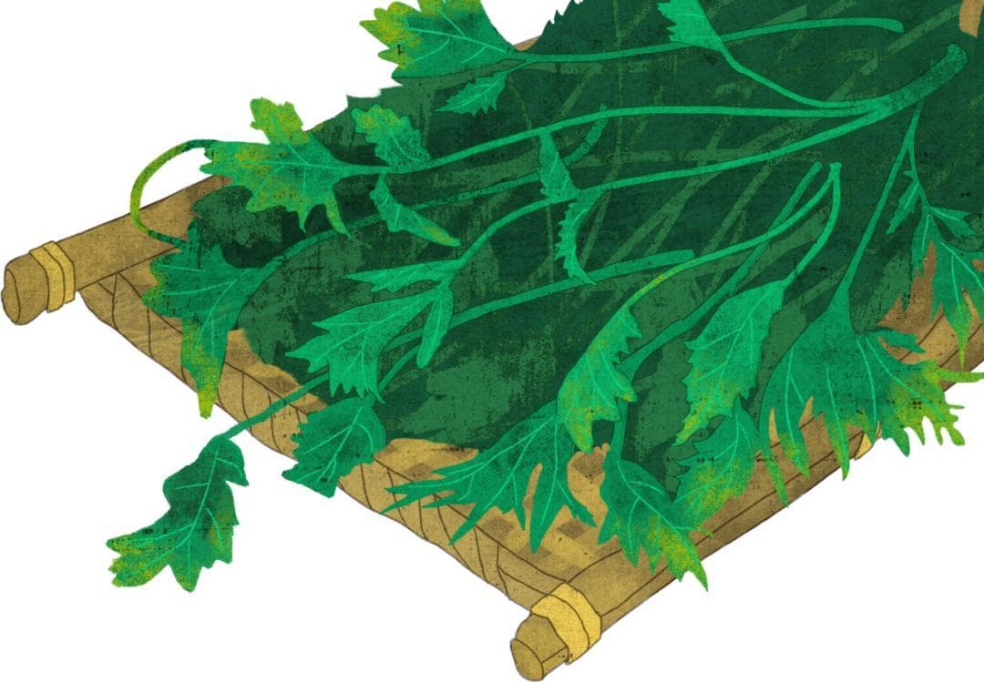 解锁艾草新吃法，让味蕾感受春天“和草园”药膳→