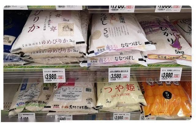 大米均价上涨80% 日本政府绷不住了