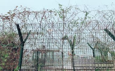 有期徒刑的罪犯假释要交钱吗
