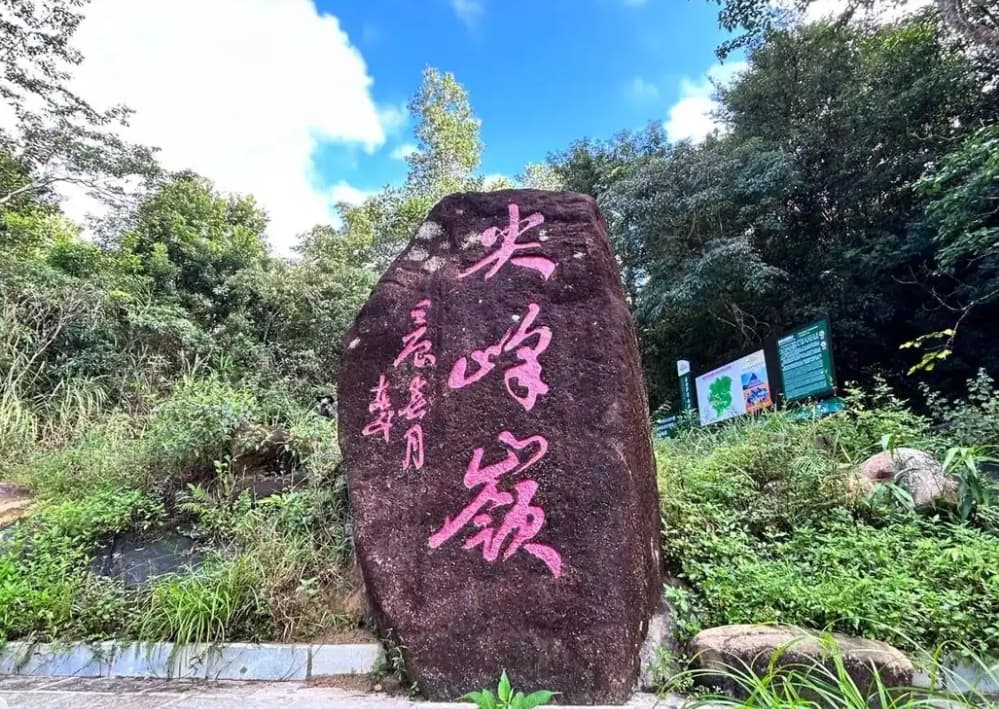 海南乐东尖峰岭：热带原始雨林的璀璨明珠
