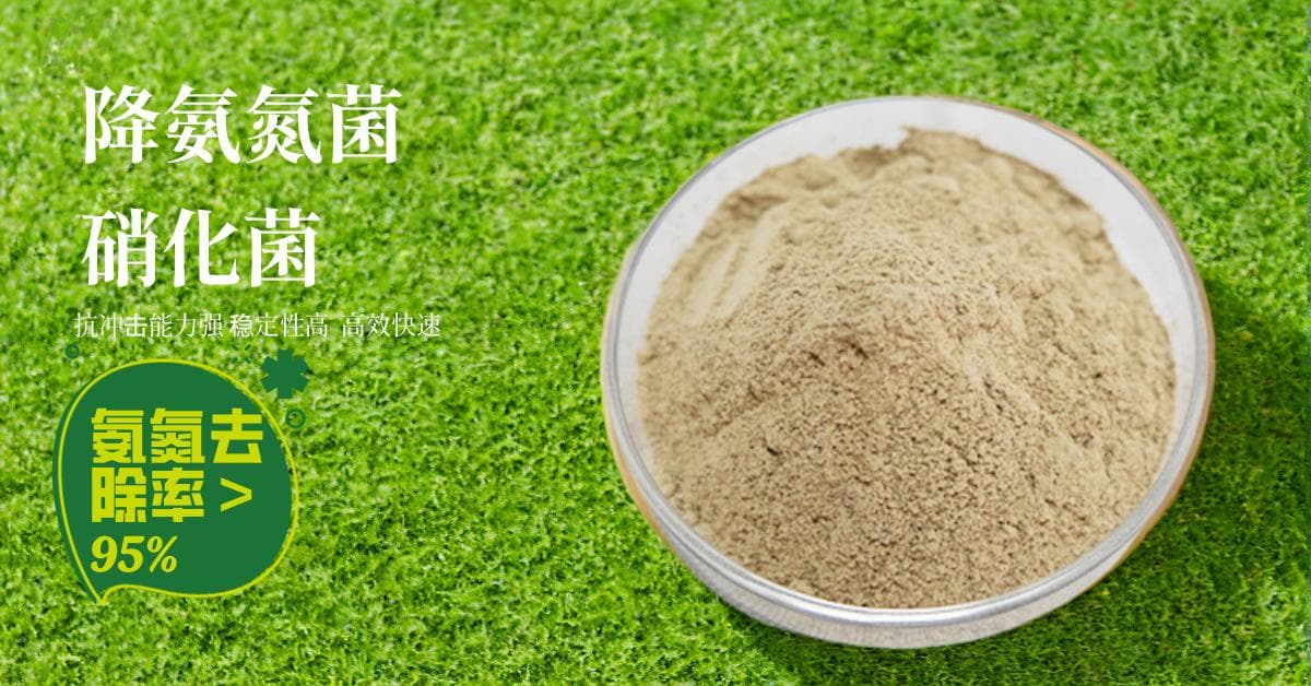 让脱氮更高效：硝化菌剂的优势