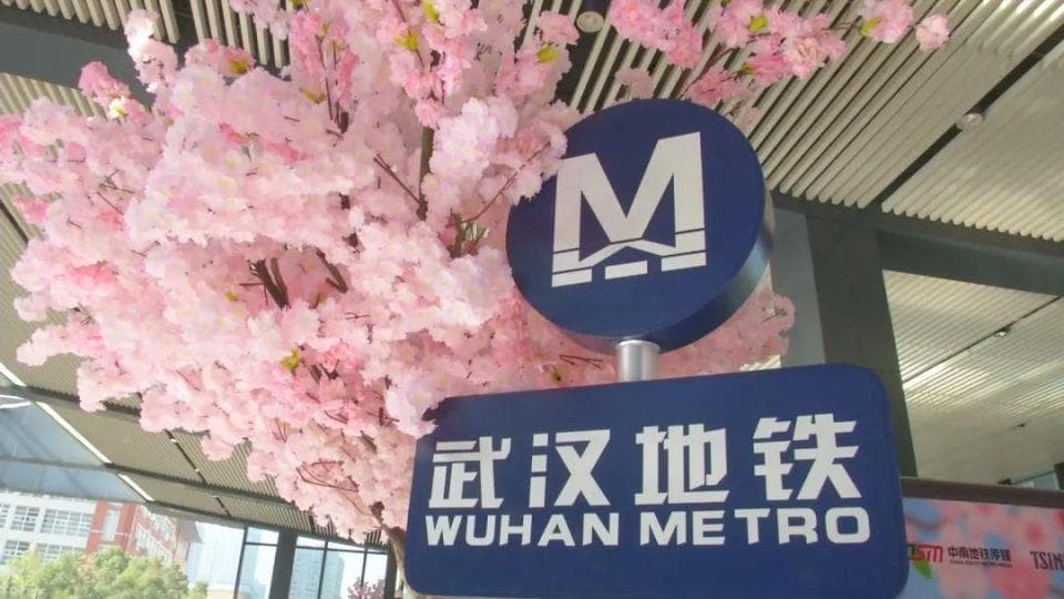 武汉地铁樱花专列浪漫启航，三大主题列车齐亮相