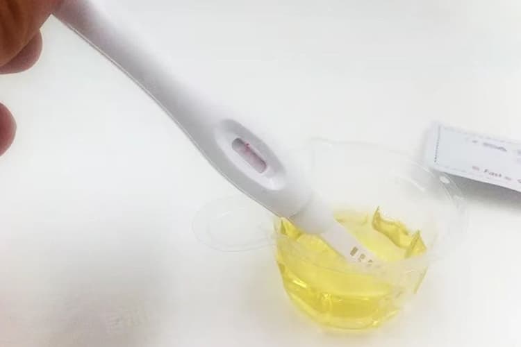 验孕试纸一定要晨尿吗？专家为你解答