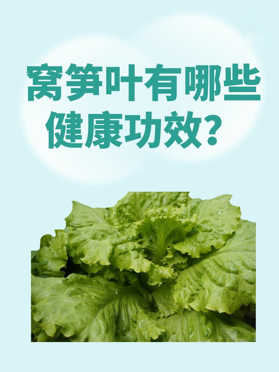 窝笋叶的营养价值与食用指南