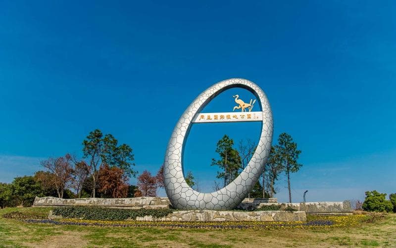 同里国家湿地公园“生态+”多元路径让自然生态与水乡共融共生