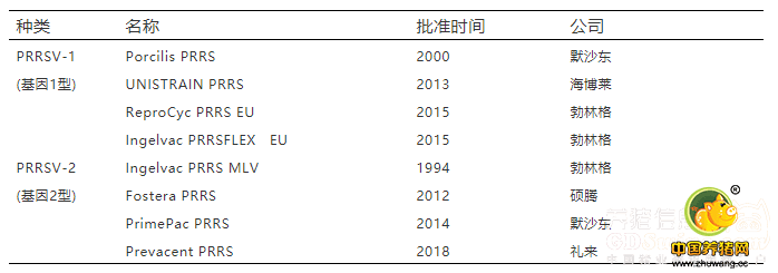 实用！郭春和博士教你如何防控和净化猪蓝耳病
