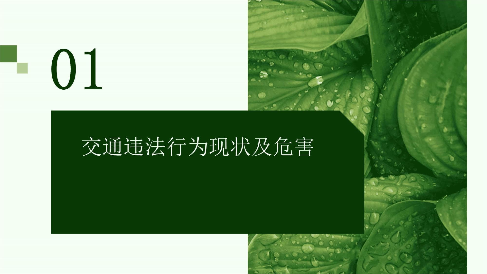 加强对交通违法行为的处罚力度
