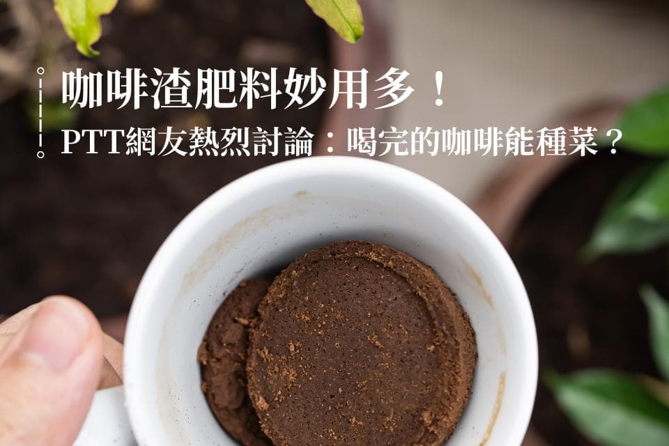 咖啡渣肥料妙用多！你喝完的咖啡能种菜？
