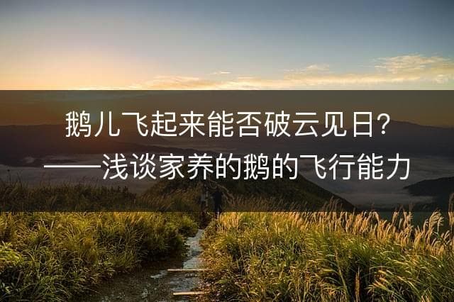 鹅儿飞起来能否破云见日？——浅谈家养的鹅的飞行能力