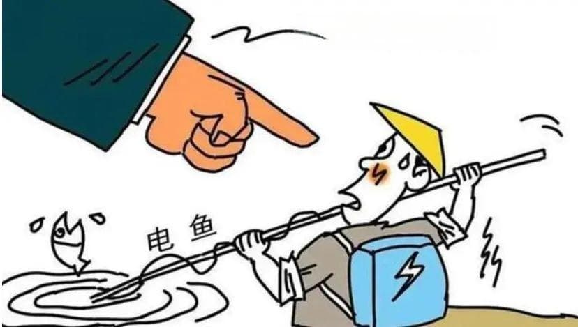 “钓鱼佬”相约去电鱼？法院：赔钱还坐牢