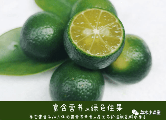 青金桔的营养价值与多种食用方法