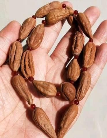 秋子手串怎么盘玩？秋子手串种类大盘点