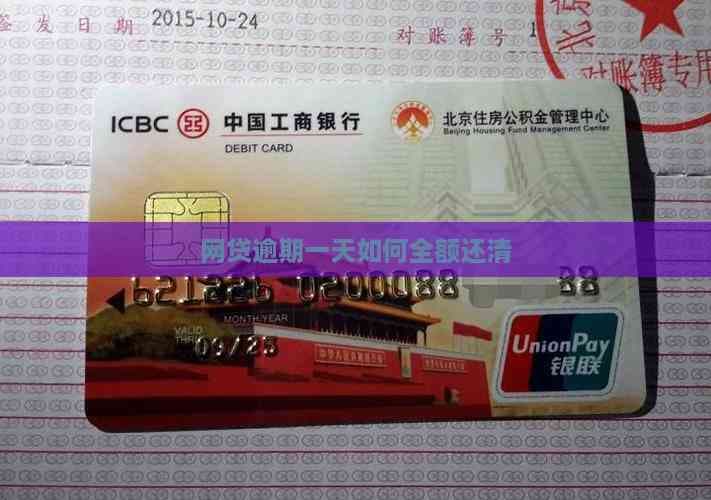 网贷逾期一天怎么办？七大实用解决方案帮你全额还清
