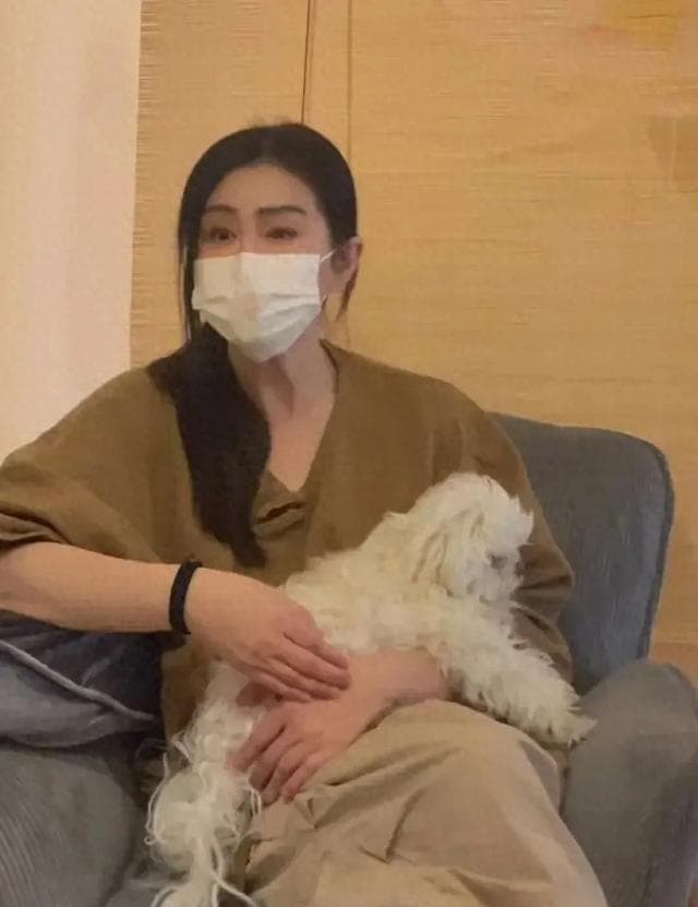 王祖贤：从荧幕女神到艾灸馆主的华丽转身