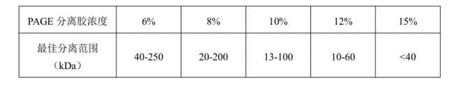 如何选择适合的PAGE蛋白电泳凝胶？一文看懂！