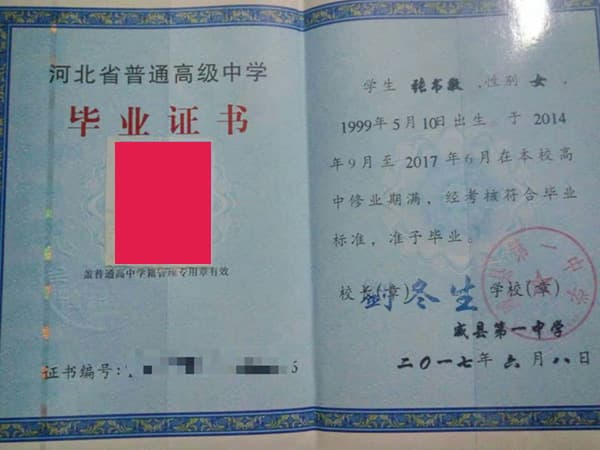 毕业证和学位证电子版在哪里能查询得到？