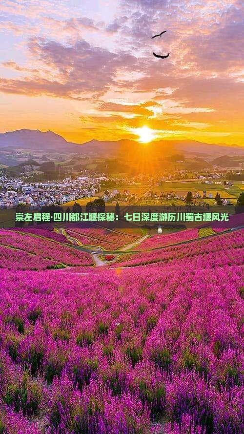 崇左至都江堰7日游：成都周边景点深度游览攻略