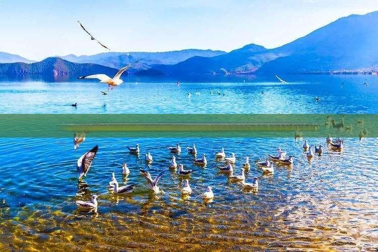 海南岛火车环岛游完整攻略：全岛热门景点及特色美食一站式指南