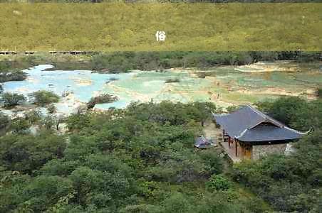 稻城亚丁美食地图：全方位攻略，深度探索当地特色美食与食俗