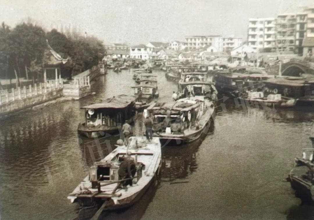 示范区道路公交互联互通，让“几家人”“一家亲”“同发展”