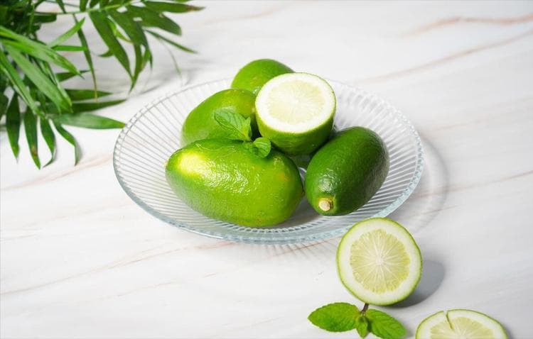 香水柠檬种植技术与管理