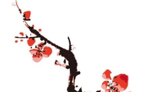 八字中木多的意义 八字木旺特征解析