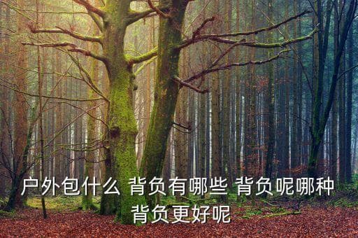什么是背包的背负系统,背包背负系统如何调节