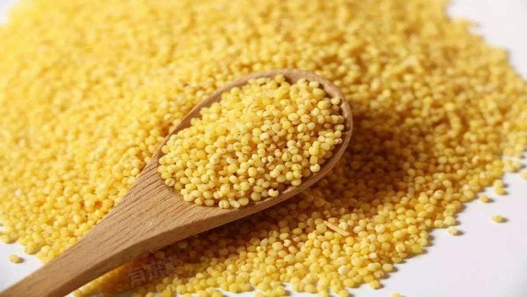 脾胃不好吃什么食物可以调理