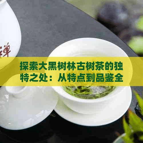 探索大黑树林古树茶的独特之处：从特点到品鉴全解析
