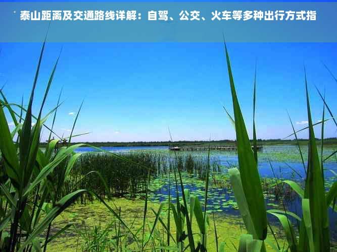 泰山距离及交通路线详解：自驾、公交、火车等多种出行方式指南