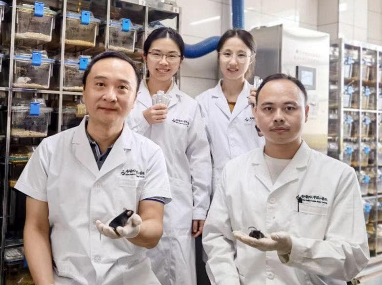 我国科学家首次揭示肝性脑病 “幕后黑手”