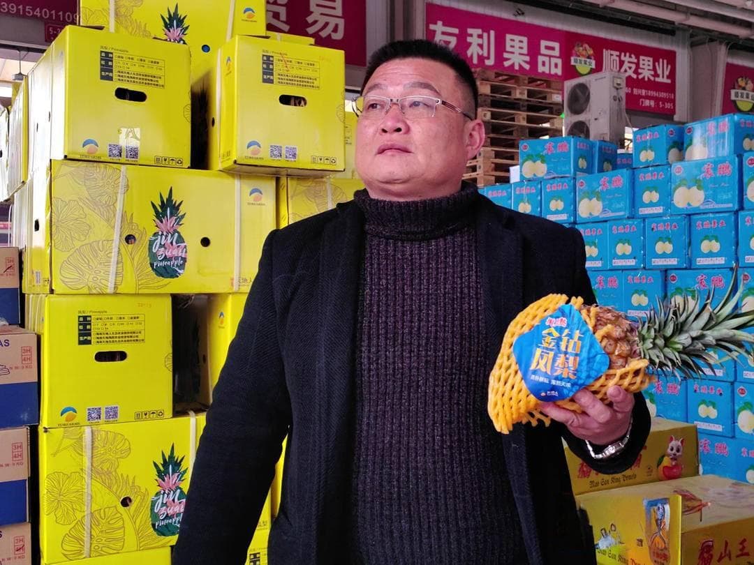 每斤9元！海南“大个头”凤梨抢占“C位”，3月中旬起“量升价跌”