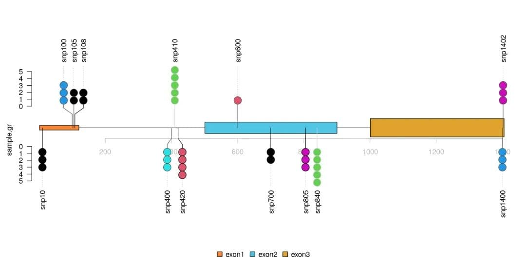 解锁基因组变异数据分析的秘密：VariantAnnotation包详解