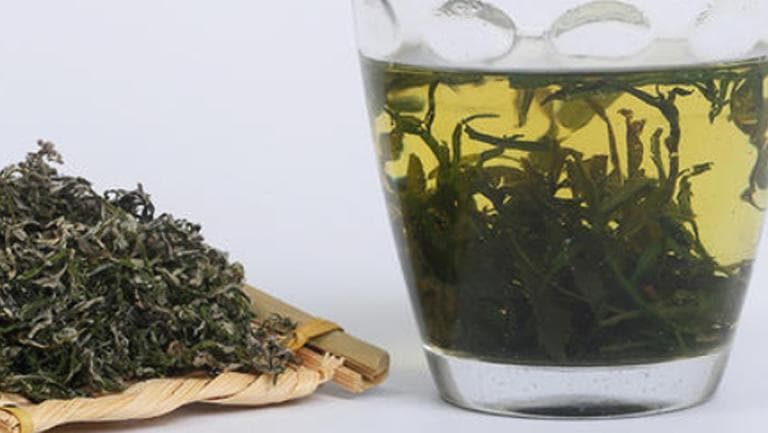 艾茶的功效与作用、禁忌和食用方法