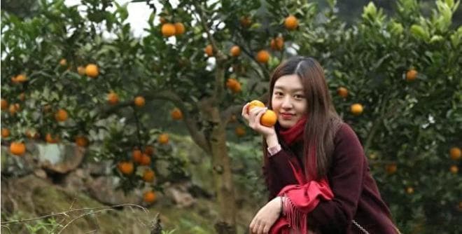 中国哪里的橘子最出名？这10个橘子最出名的产地，哪的最好吃？