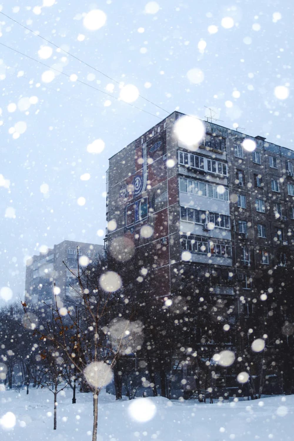 冬日摄影小窍门：拍雪景也能美如画