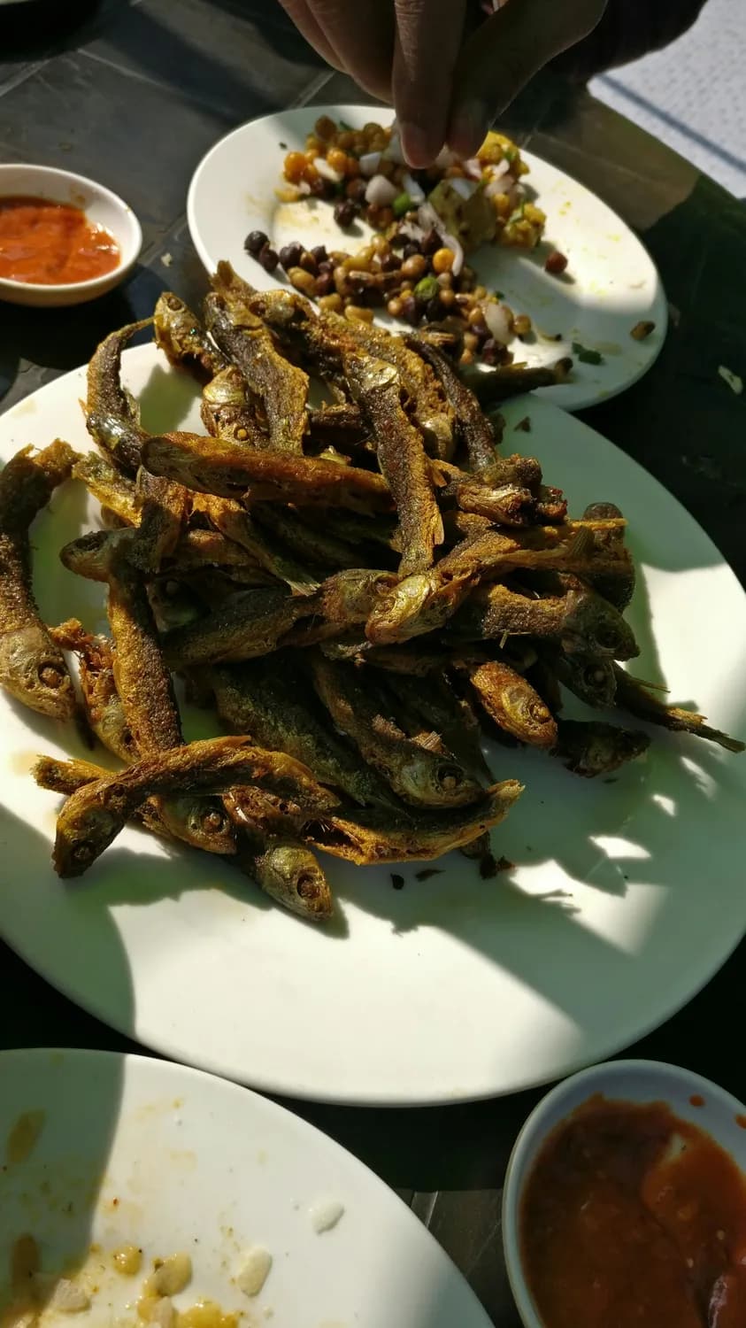辣椒炒小鱼干：一道承载地方特色的家常美味