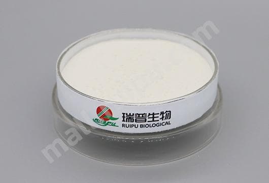 乳酸亚铁：一种常见的铁补充剂