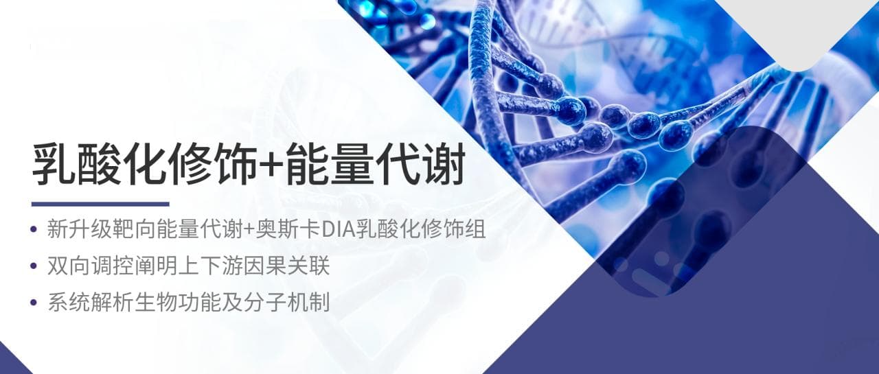 乳酸化与能量代谢能碰撞出怎样的火花？3篇高分文章深度解析！