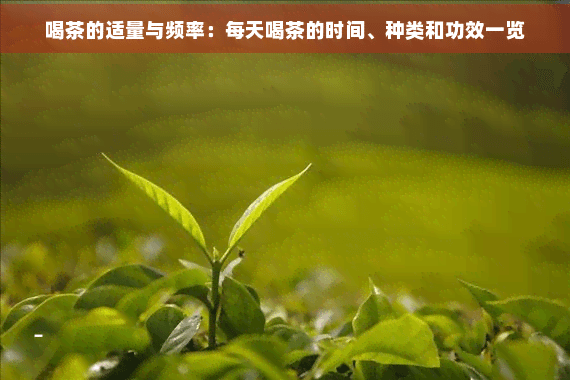 喝茶的适量与频率：每天喝茶的时间、种类和功效一览