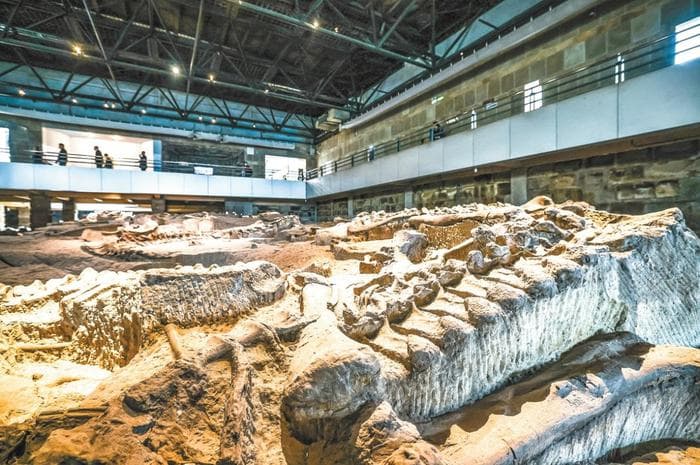 中国三地入选全球第二批百个地质遗产地名录，涉及古生物学、地貌等领域