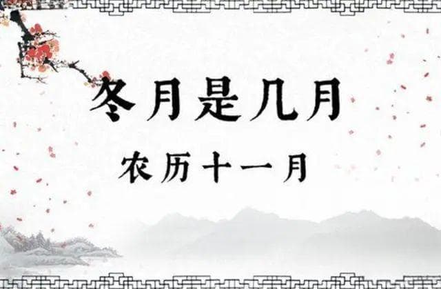 冬月后要记得吃牛肉，补身还不长肉，教你6种吃法，变着花样吃
