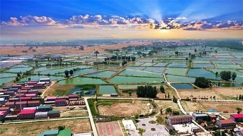 九堡：黄河岸边的文旅新地标
