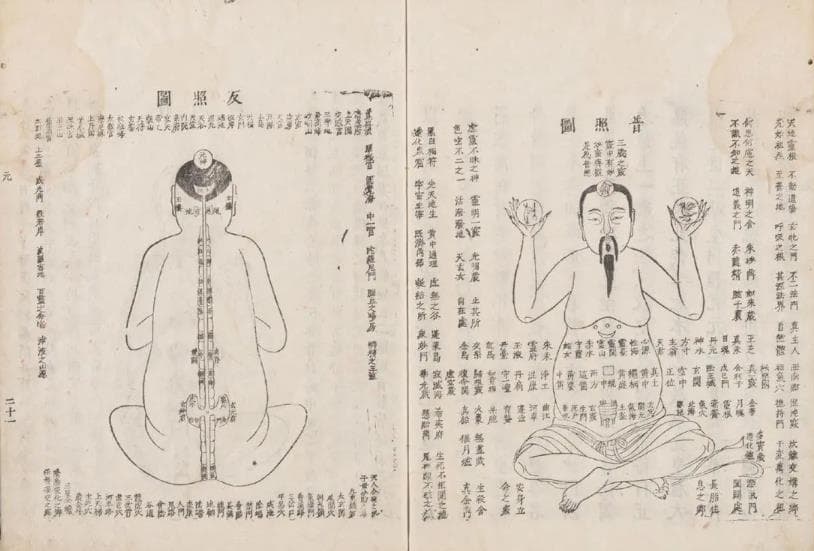 内丹之性命双修：动处炼性，静处炼命
