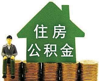 如何查询公积金明细信息？这些信息有哪些展示方式？