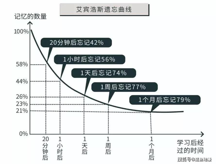 提速增效！公认四大高效学习法，详细步骤助你轻松掌握